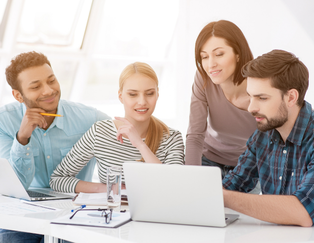Team Looking At HR Software