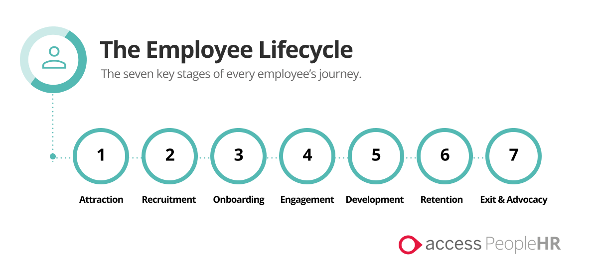 infographic of the employee lifecycle